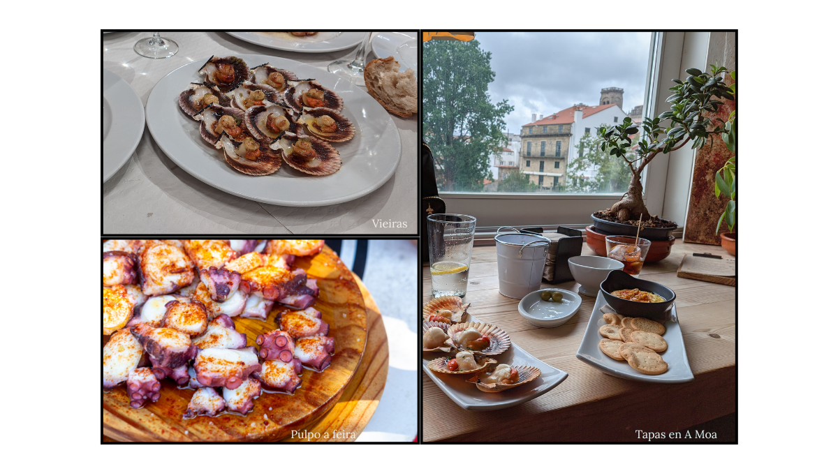 Comida típica gallega